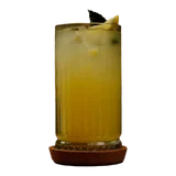 Fresh Lemonade (M)